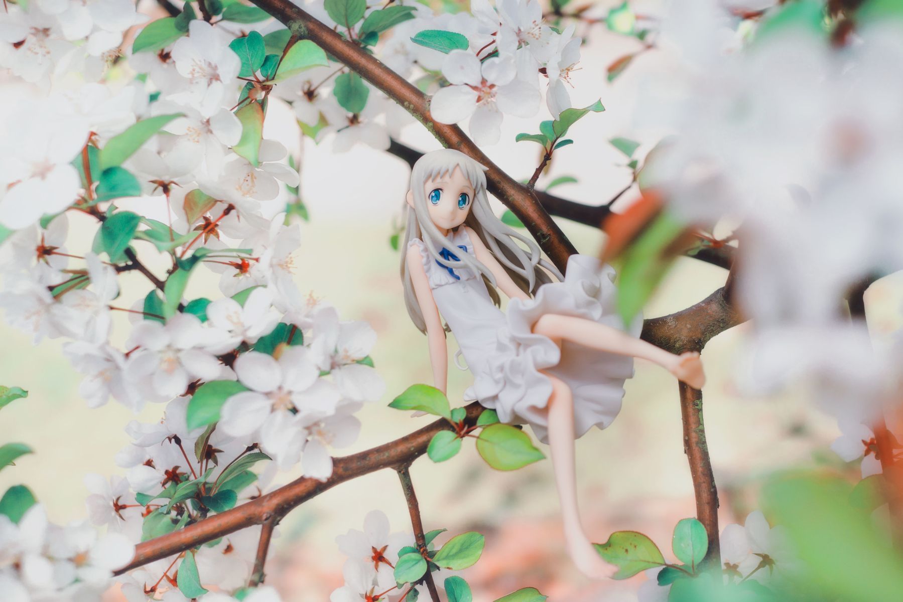 未闻花名 面码