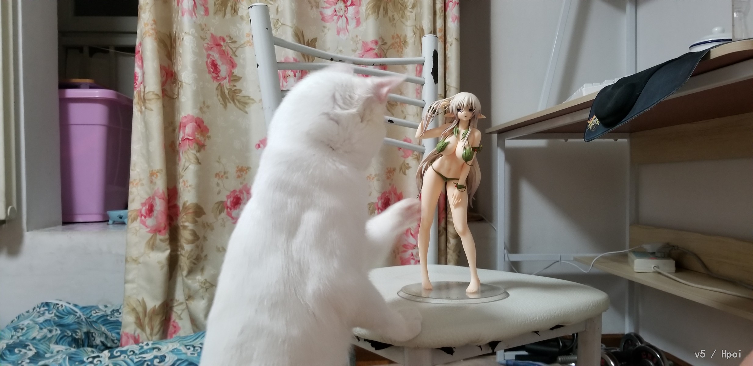 阿莱茵