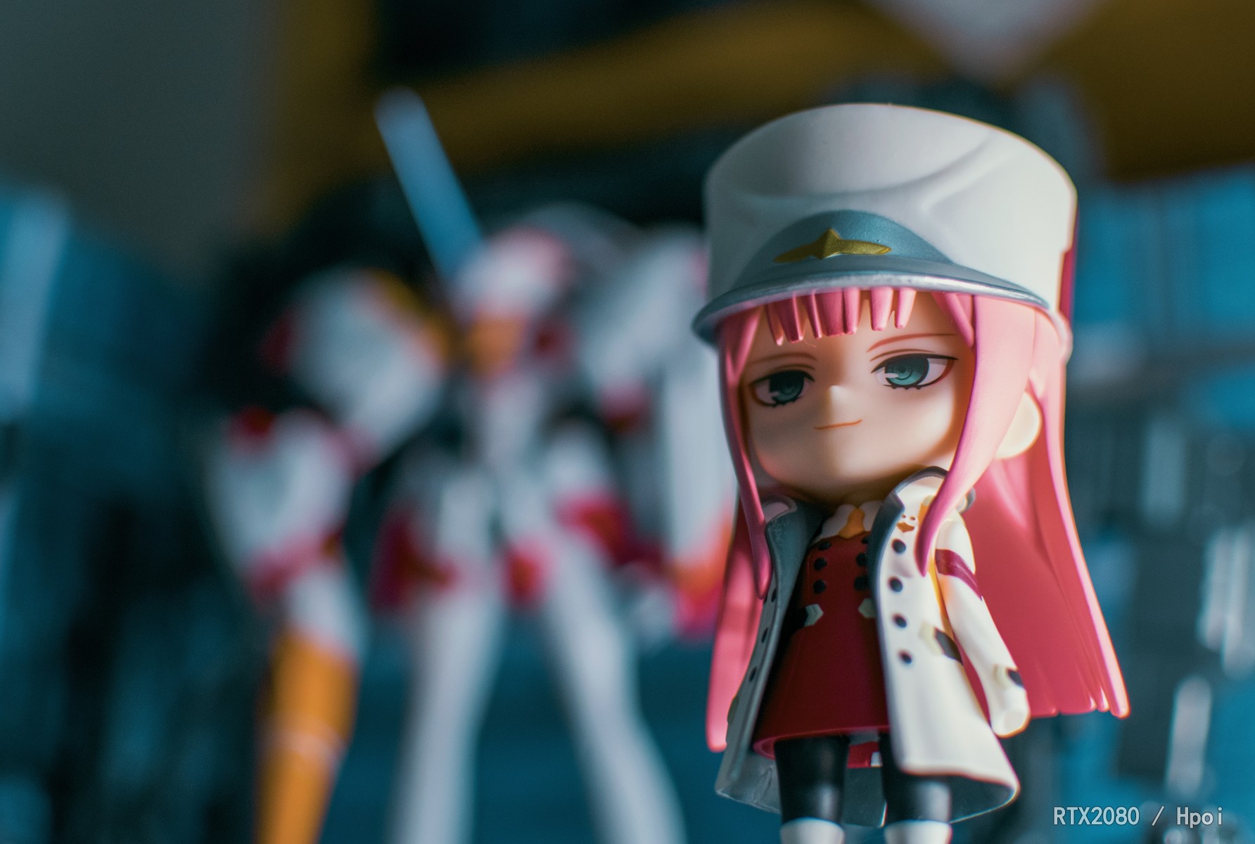 02与鹤望兰