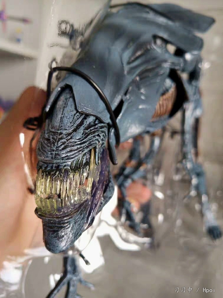 [一股清流]neca异形母后及自摆场景