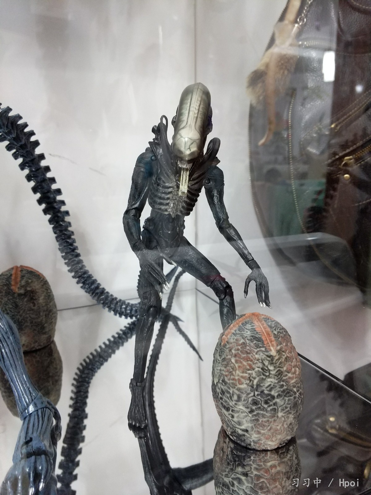 相册:[一股清流]neca异形母后及自摆场景 by 习习中 | hpoi手办维基