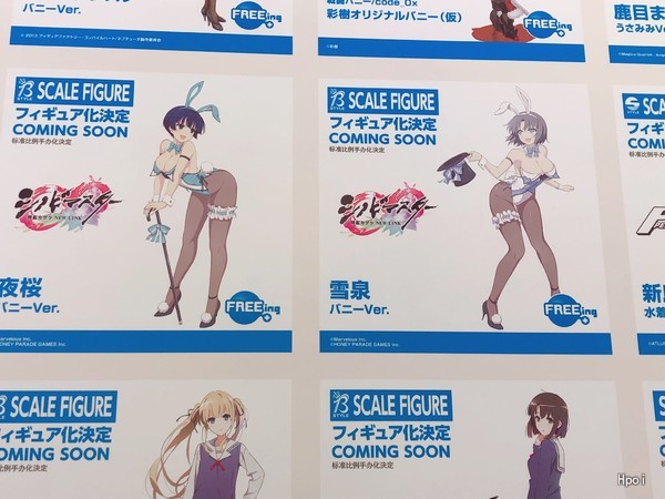 B-style 忍者大师 闪乱神乐: New Link 雪泉 兔女郎