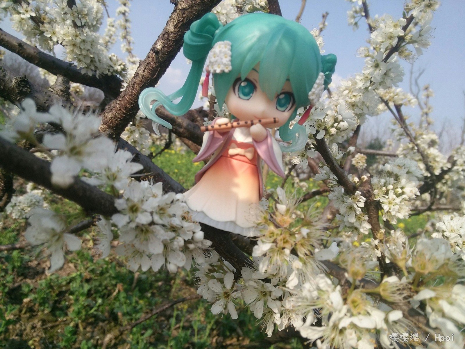 春日好