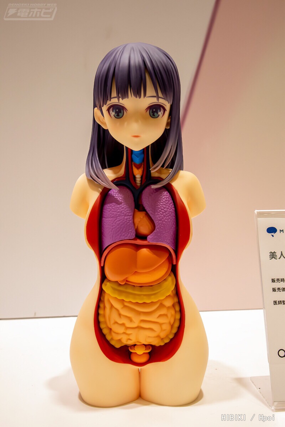 上色效果