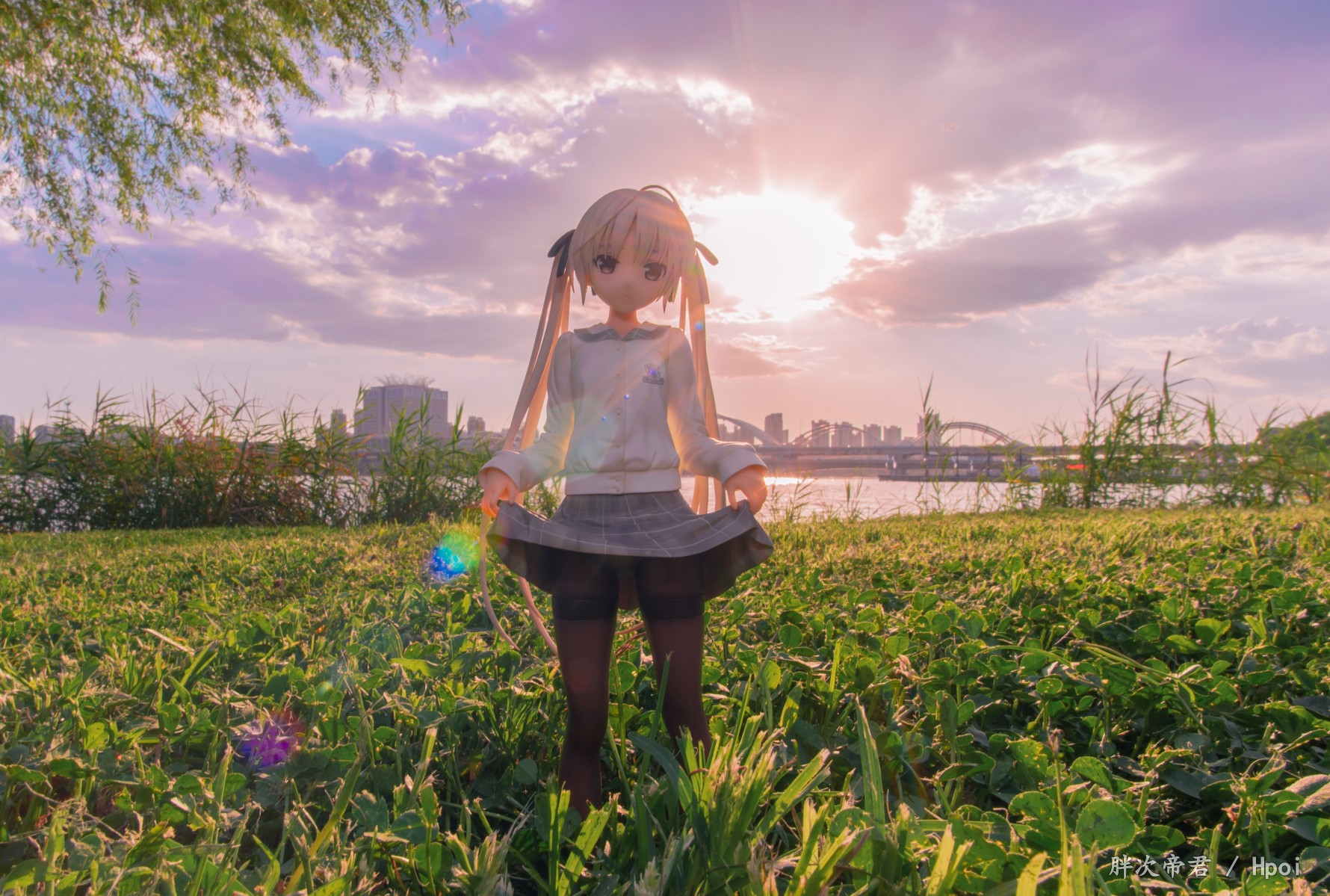 夏日·树林露出