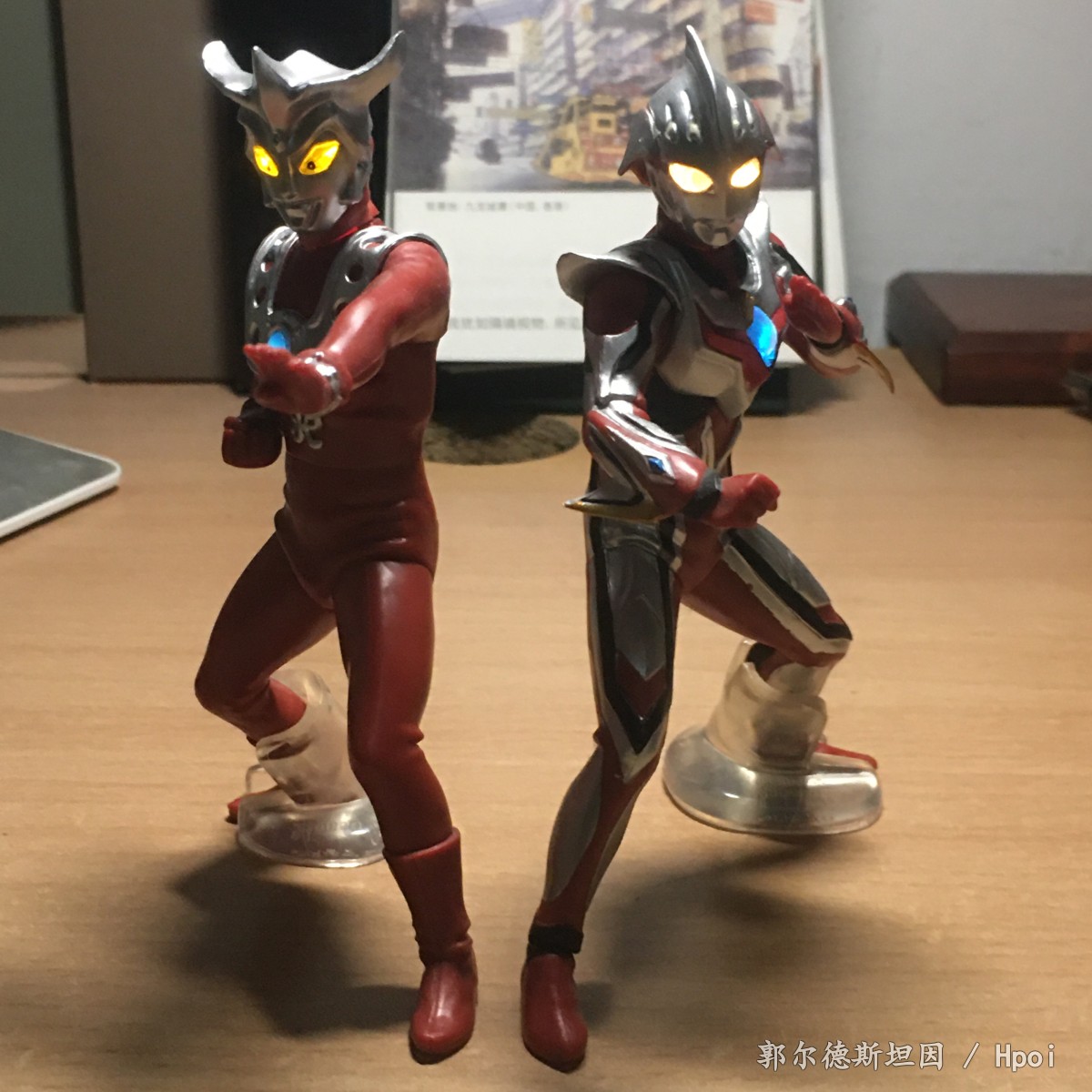 狮子座的勇士与纽带的光