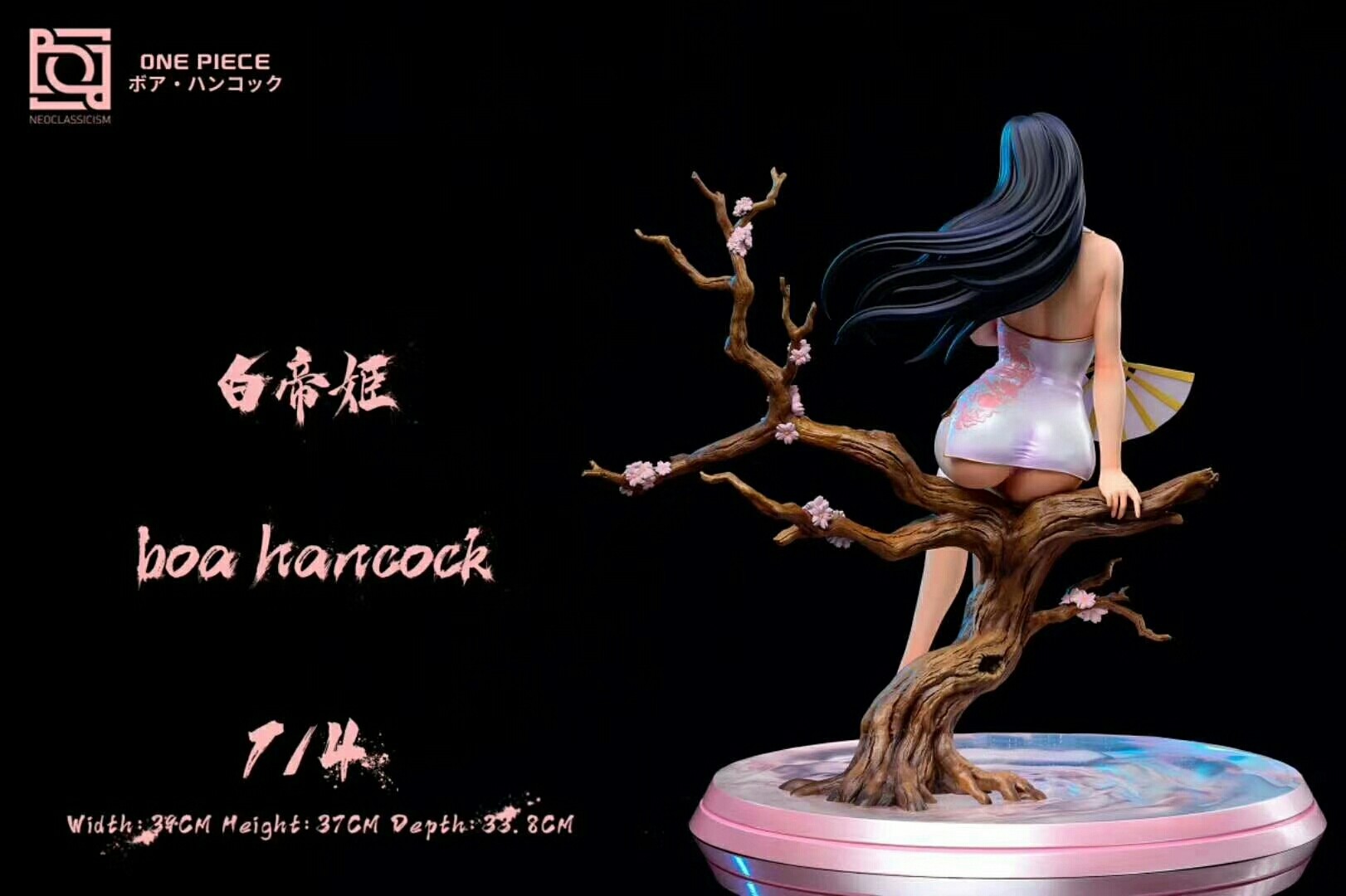 给你们看看好康的