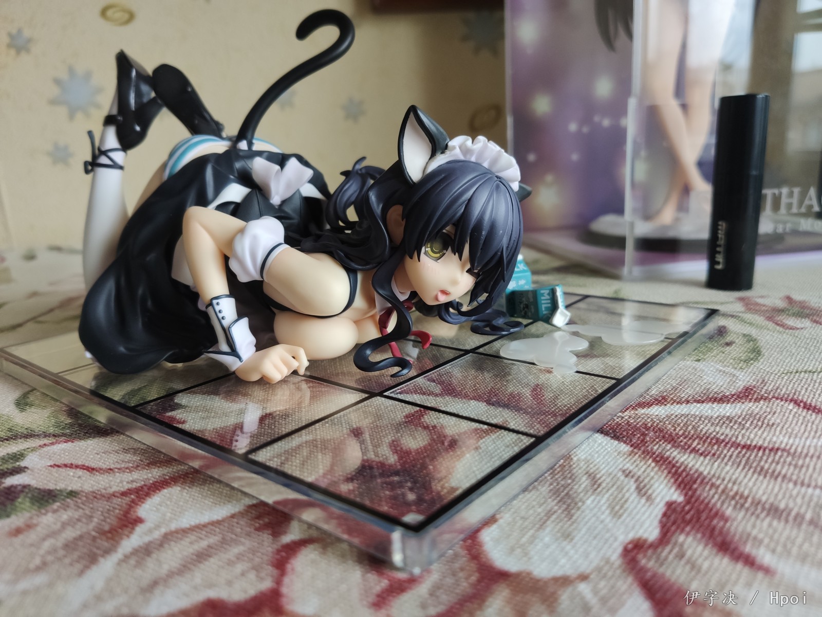 白嫖牛奶猫