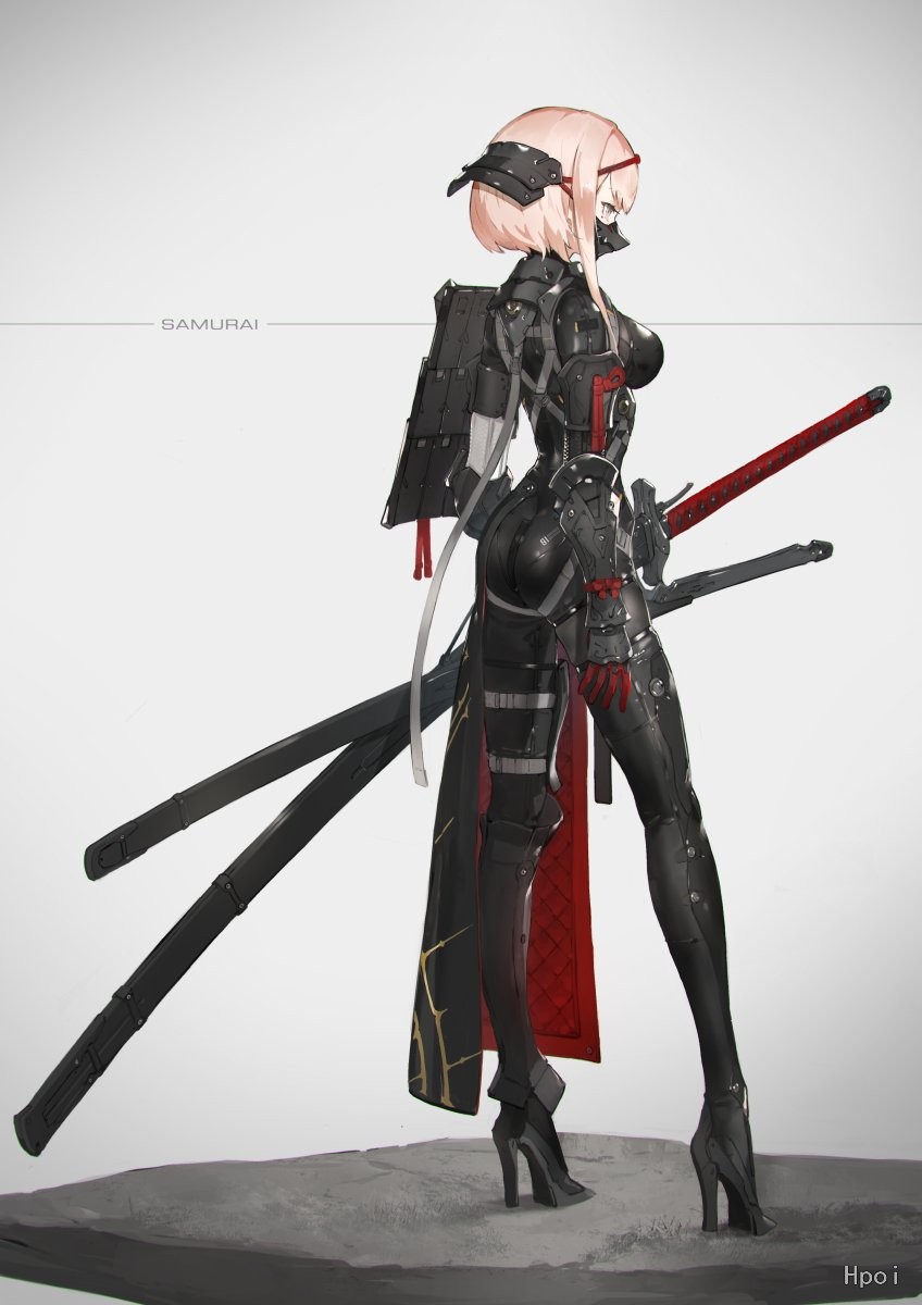 FALSLANDER 武士