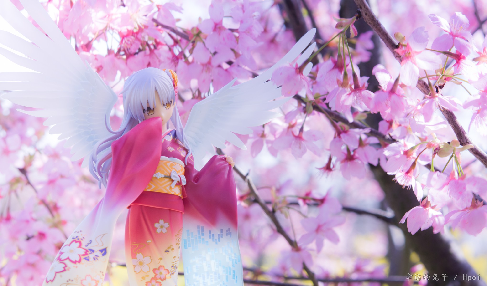 3月外摄