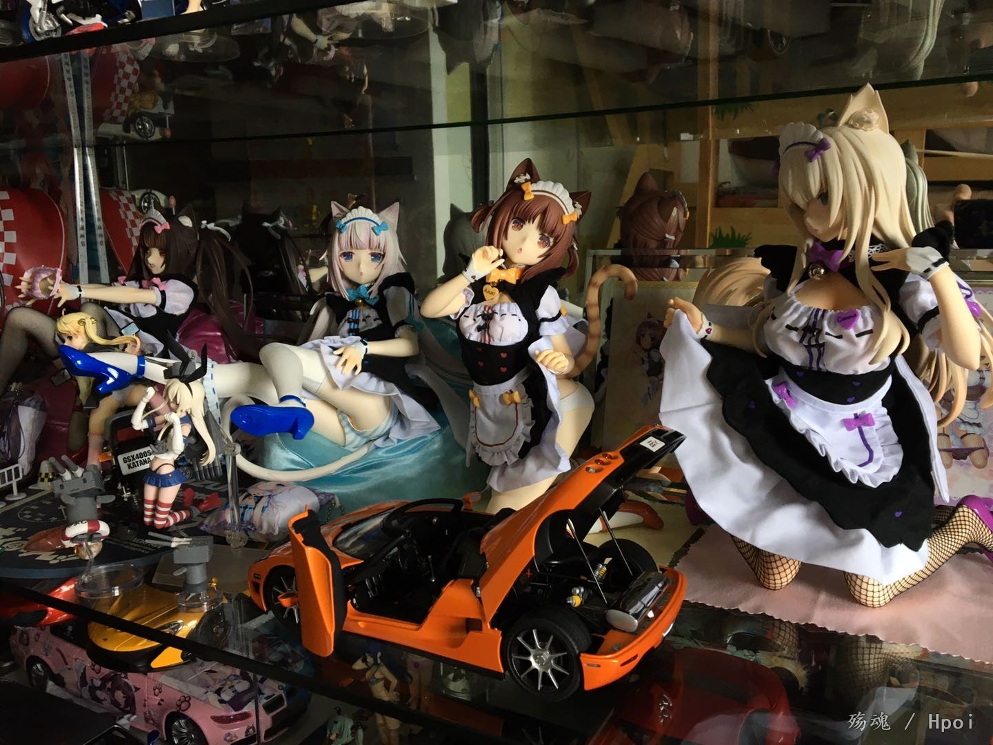 红豆先到了！！！！