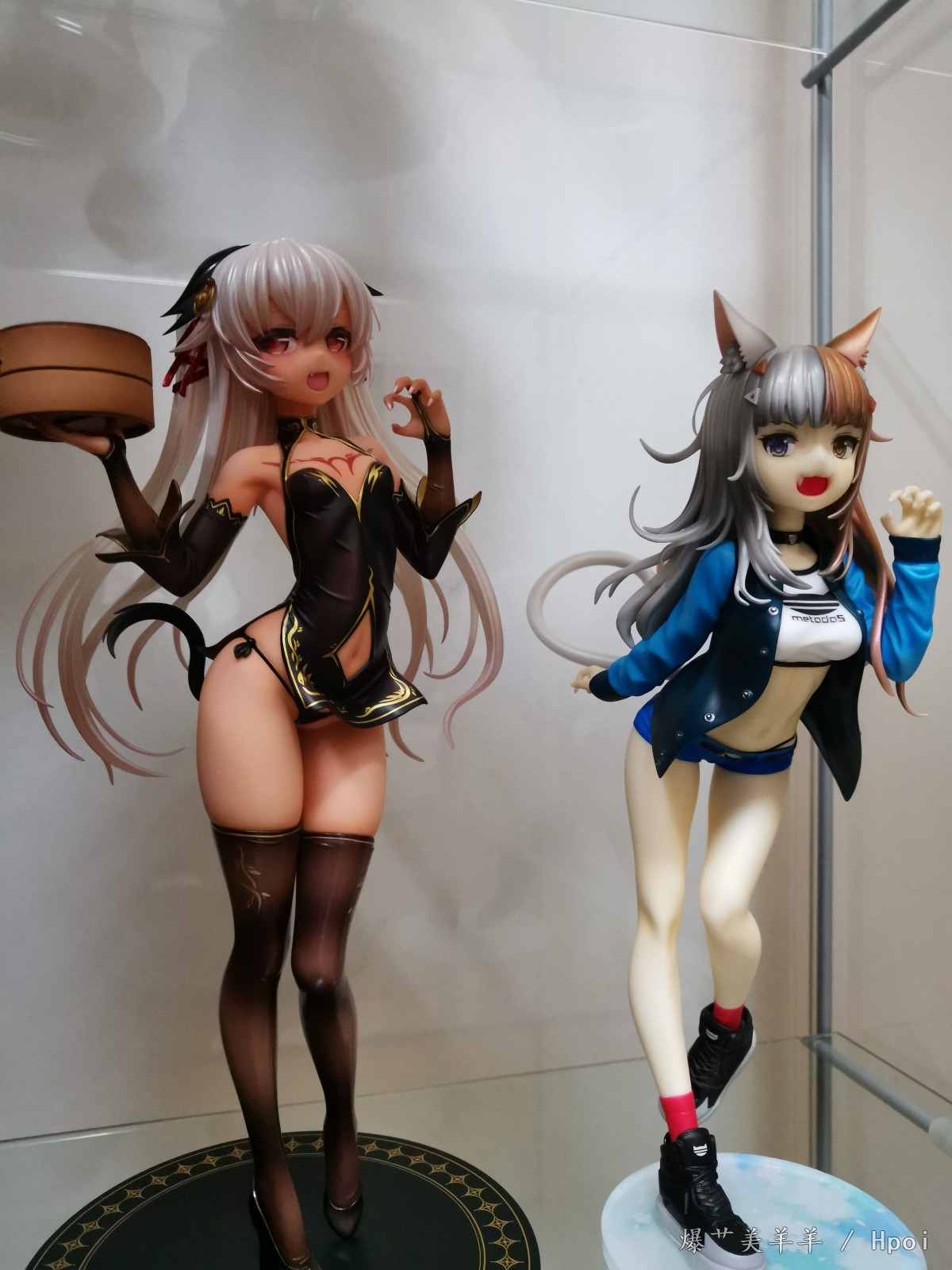 wf2018大脸猫完成