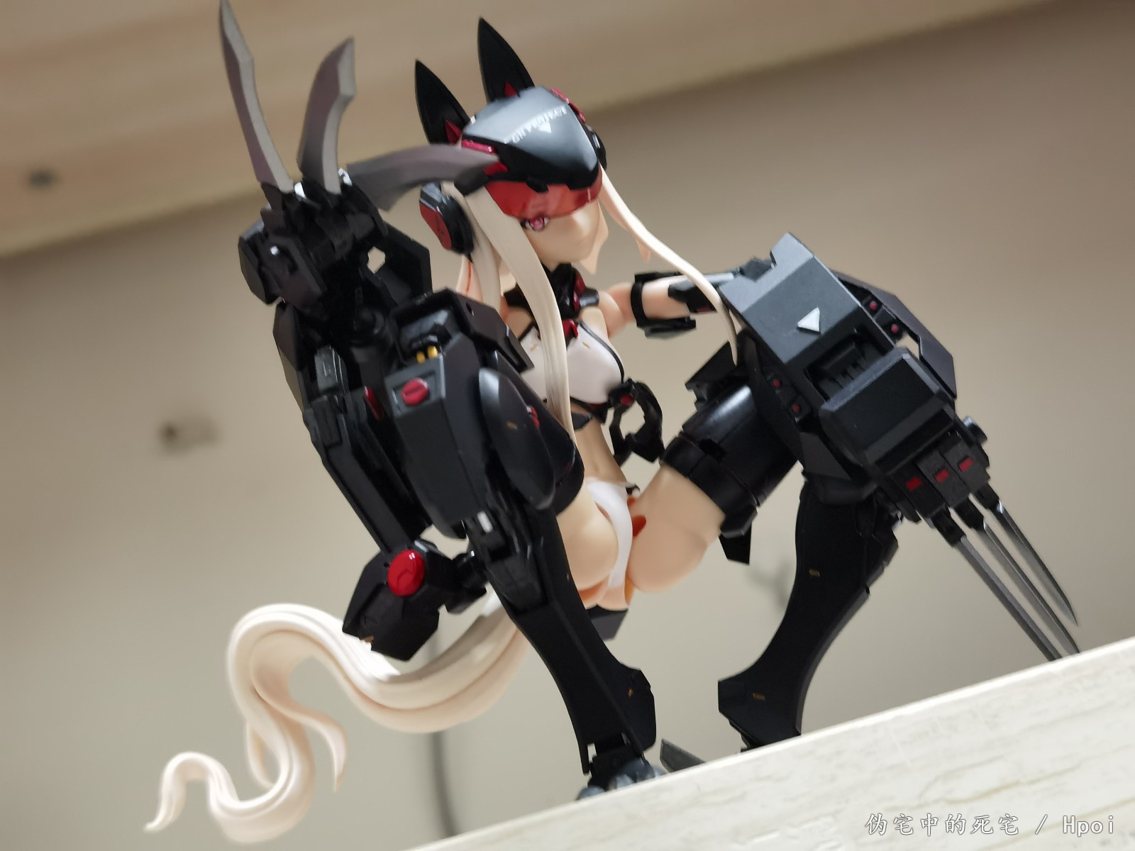 蜗之壳狼妹