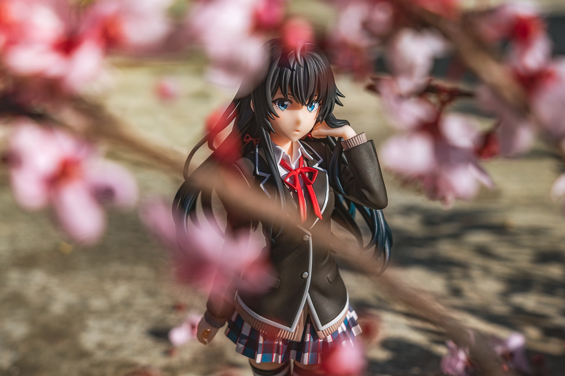 春物