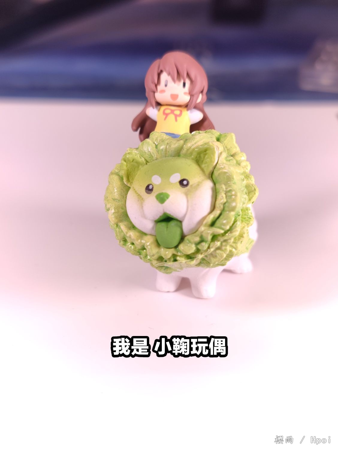 我是 小鞠玩偶