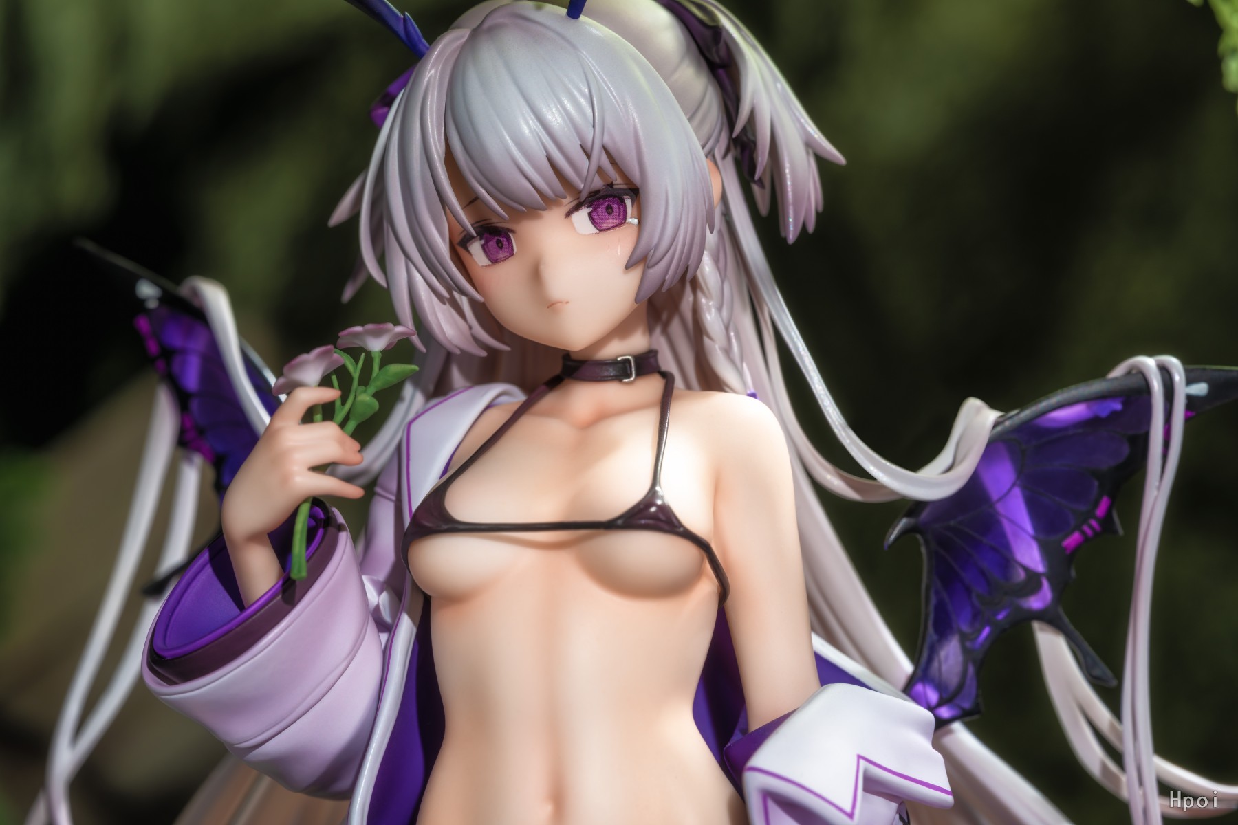 贝契尼亚 STD版