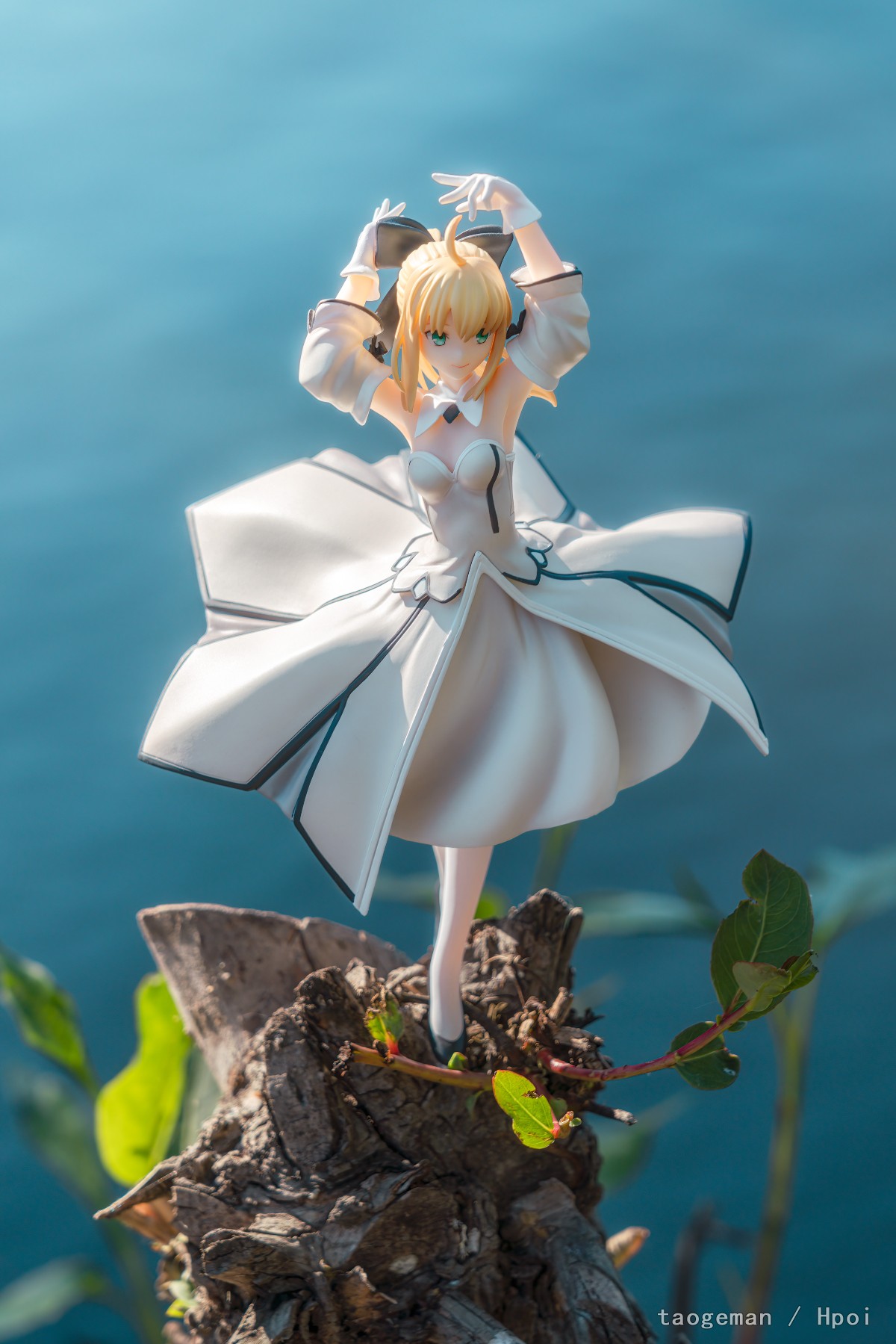 Saber Lily