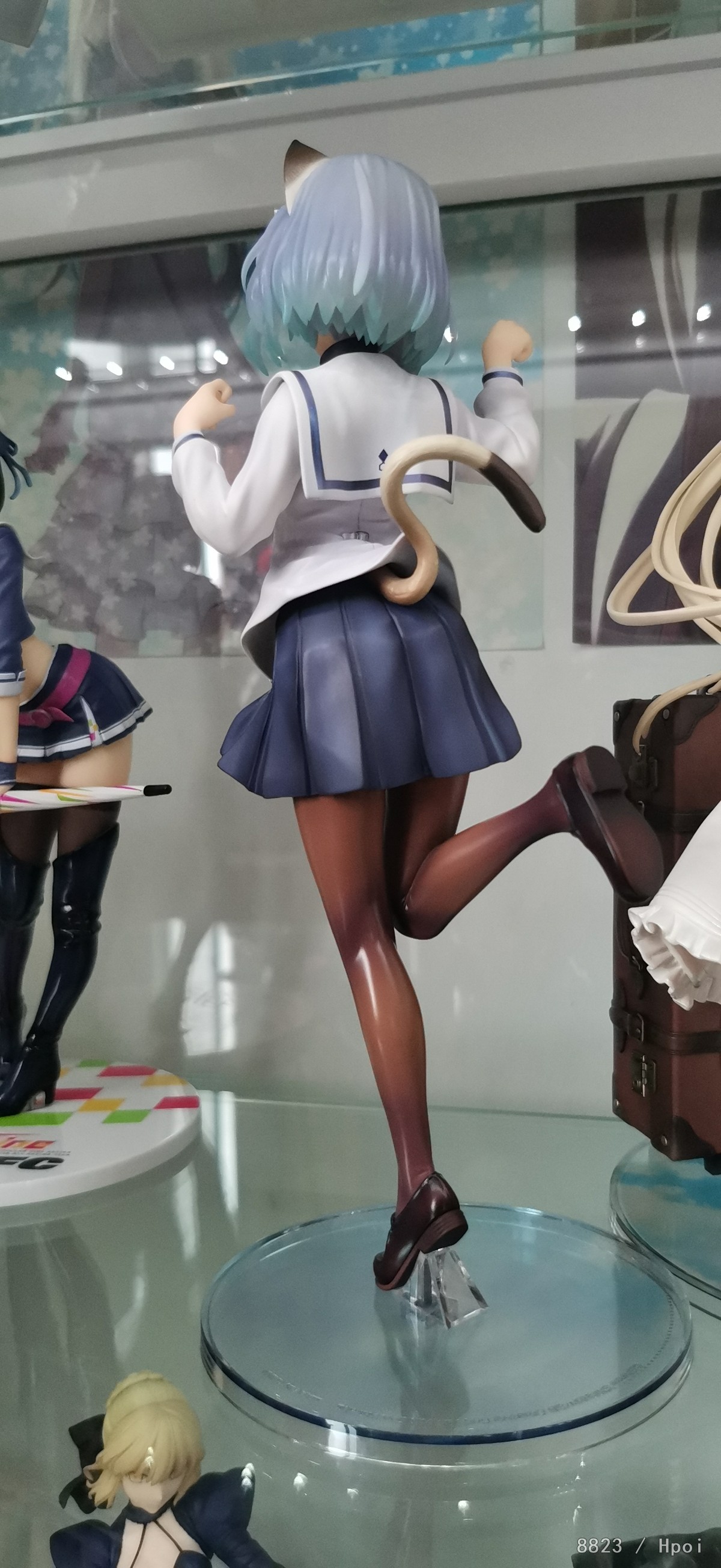 等了一个多月的师姐终于到了