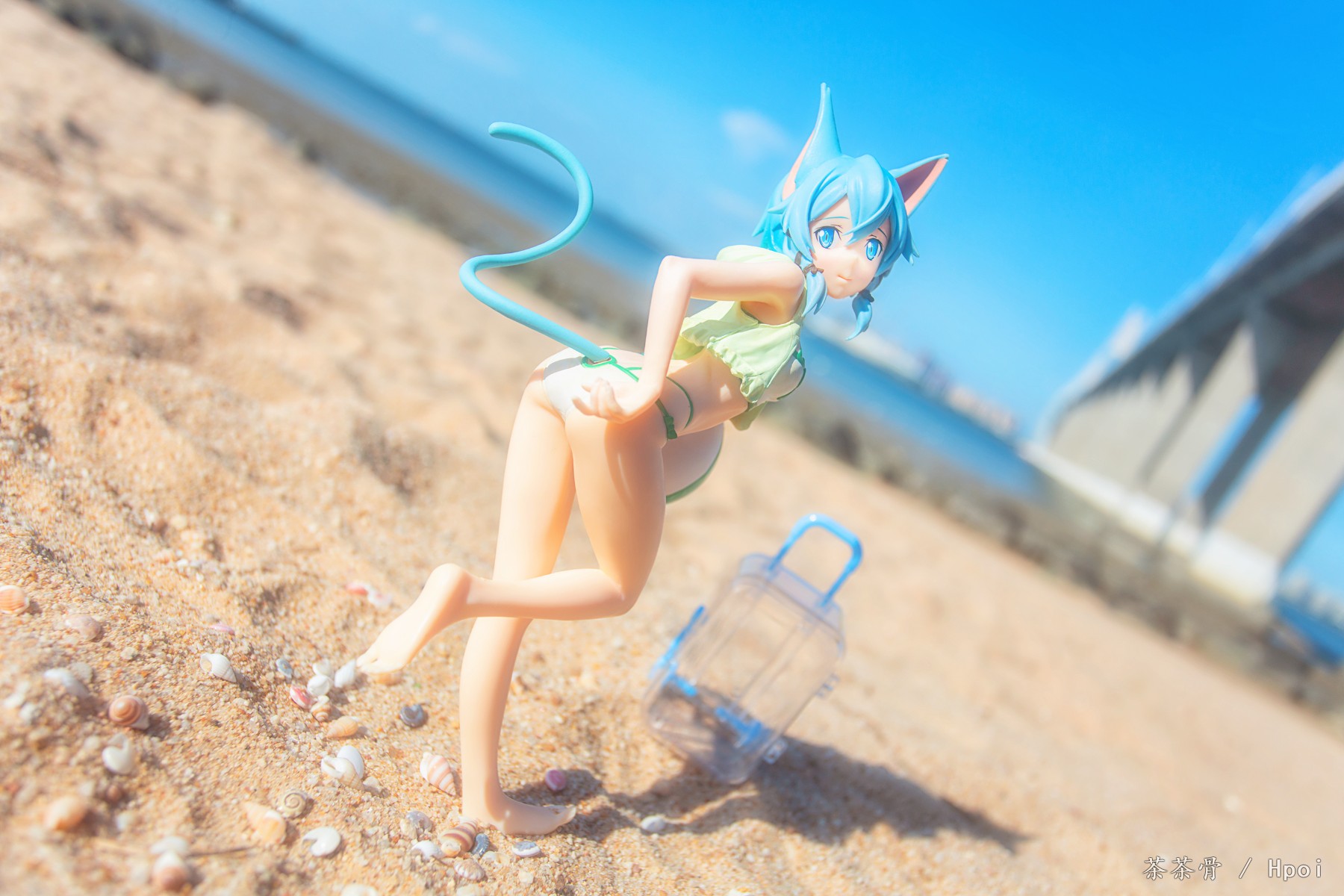 刀剑神域 代码寄存器 诗乃 Ocean Catchy