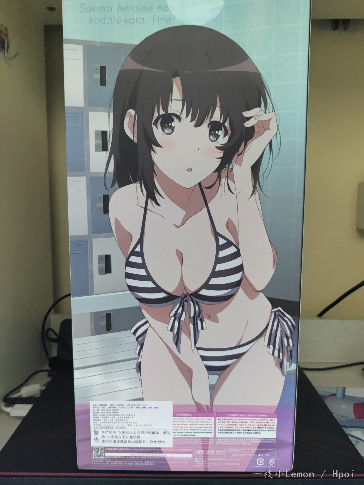 记录手办