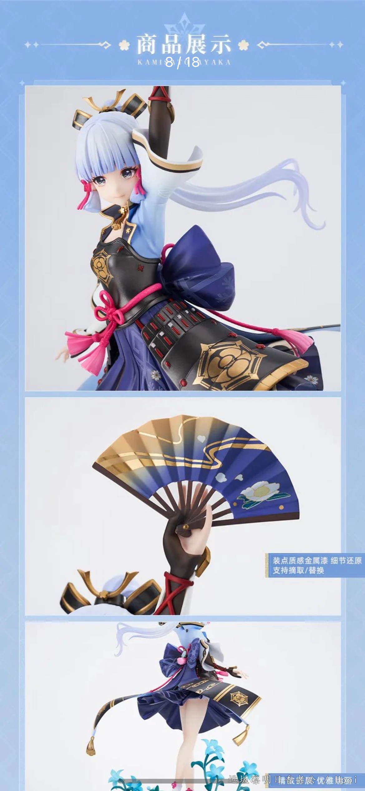 龟龟来啦