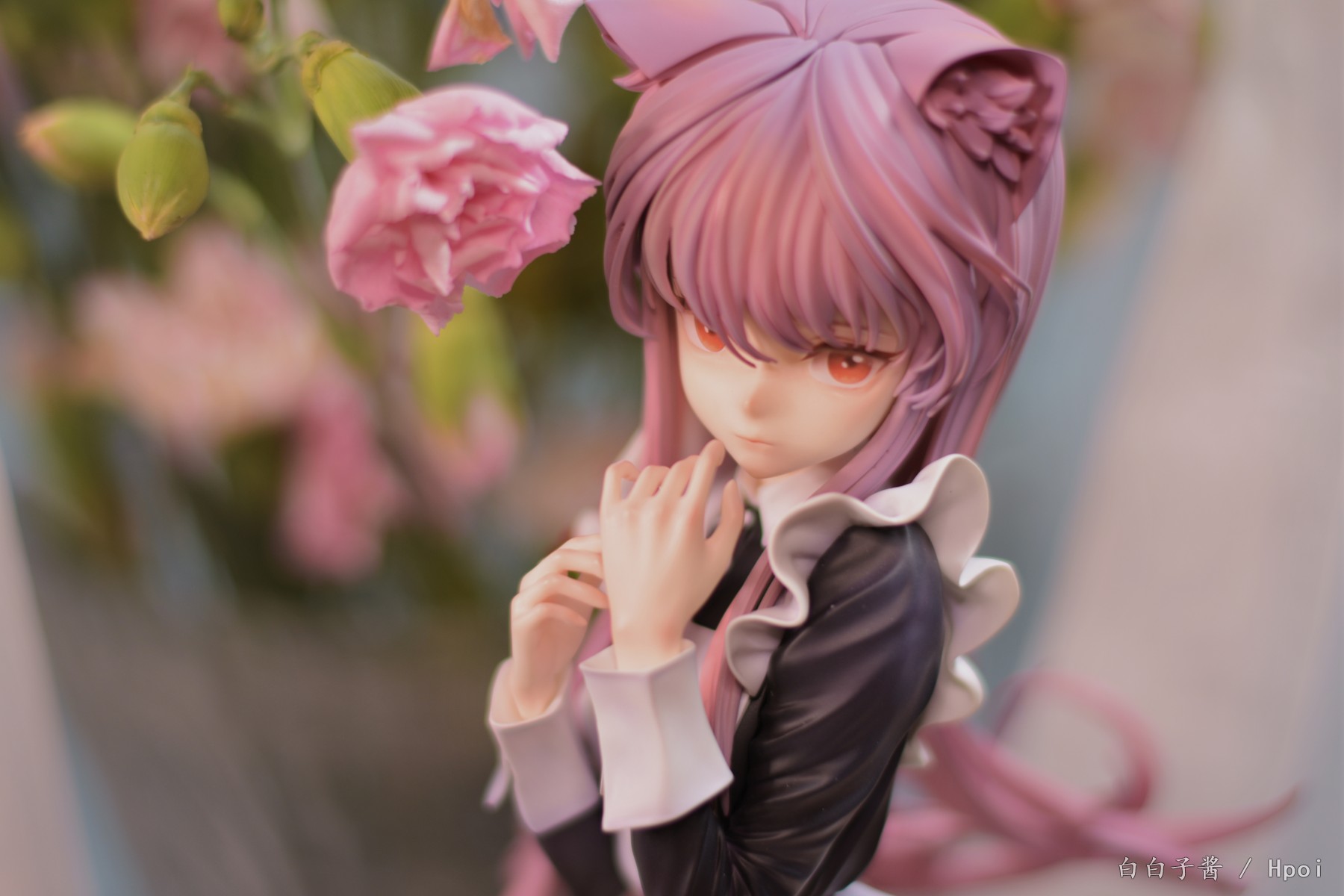 ·可之爱菲奇子·