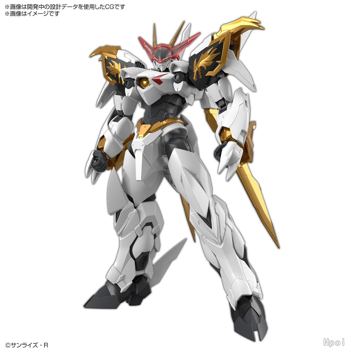 HG Amplified IMGN    龙王丸