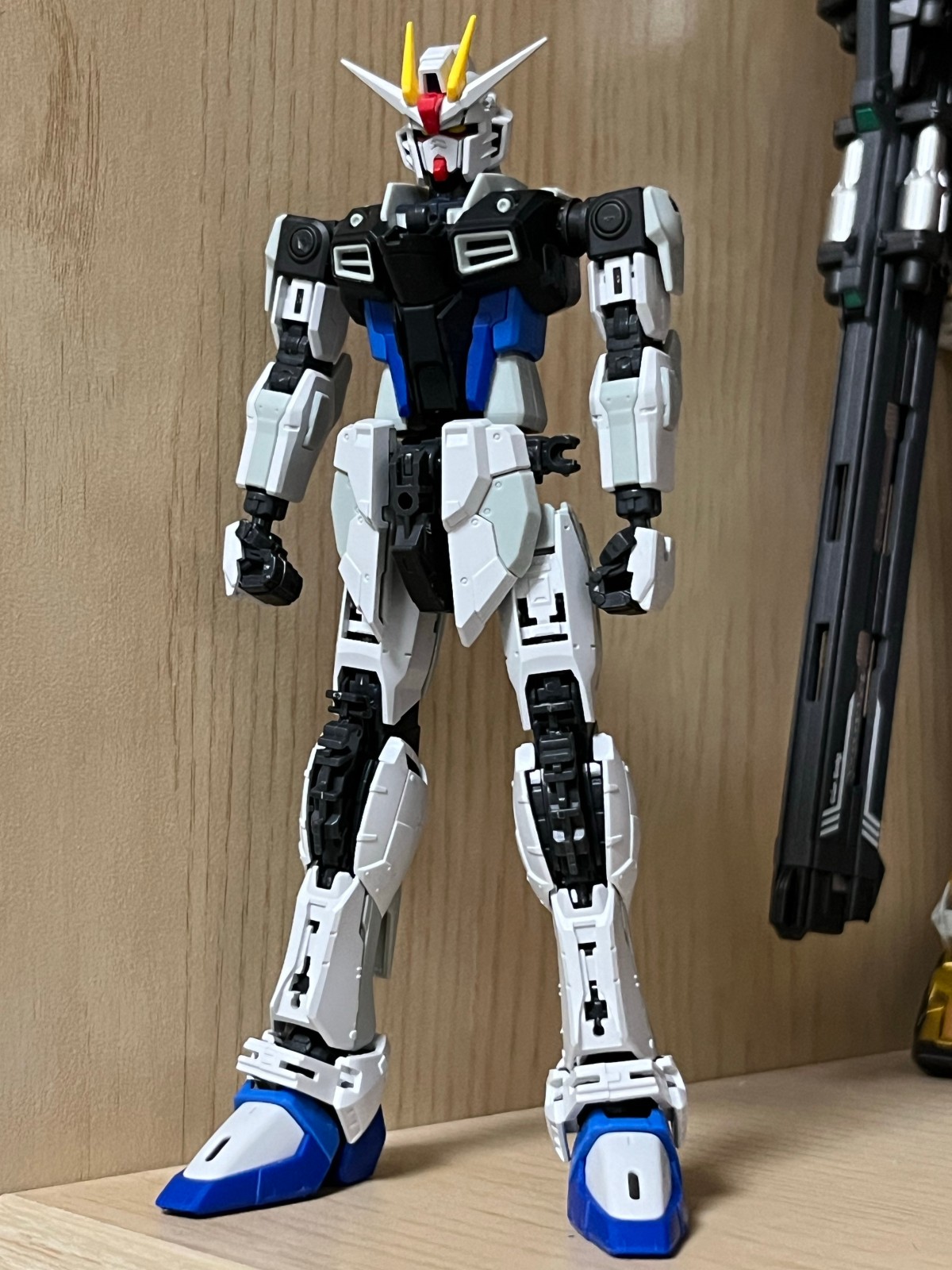 RG自由高达 ver GCP