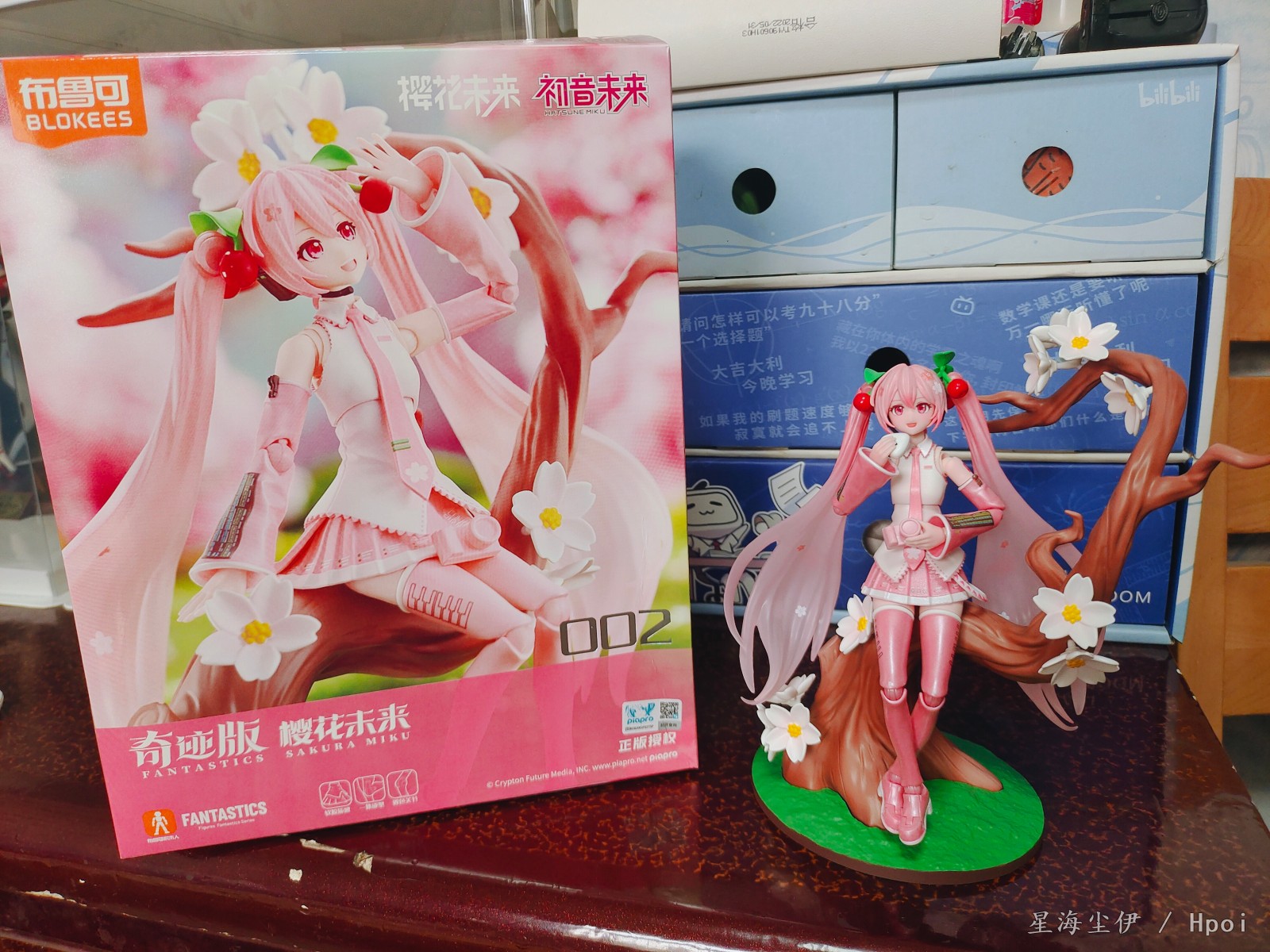 布鲁可，樱花初音未来