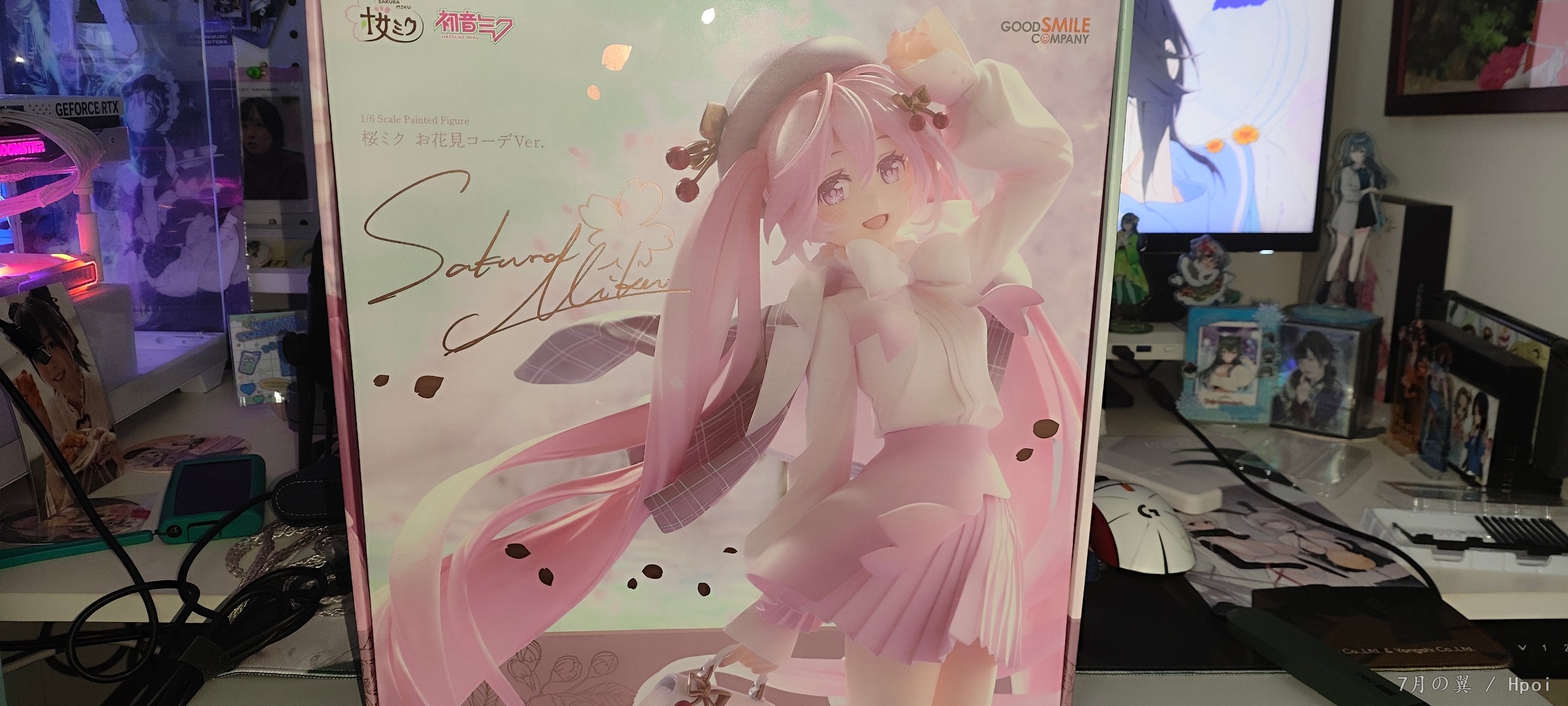 樱花未来
