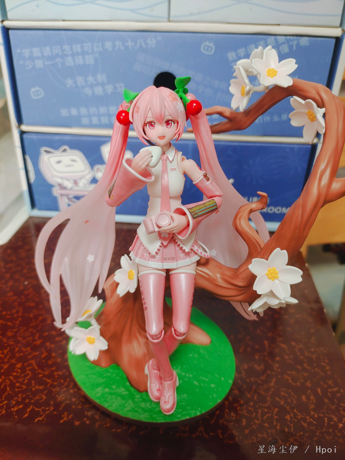 布鲁可，樱花初音未来