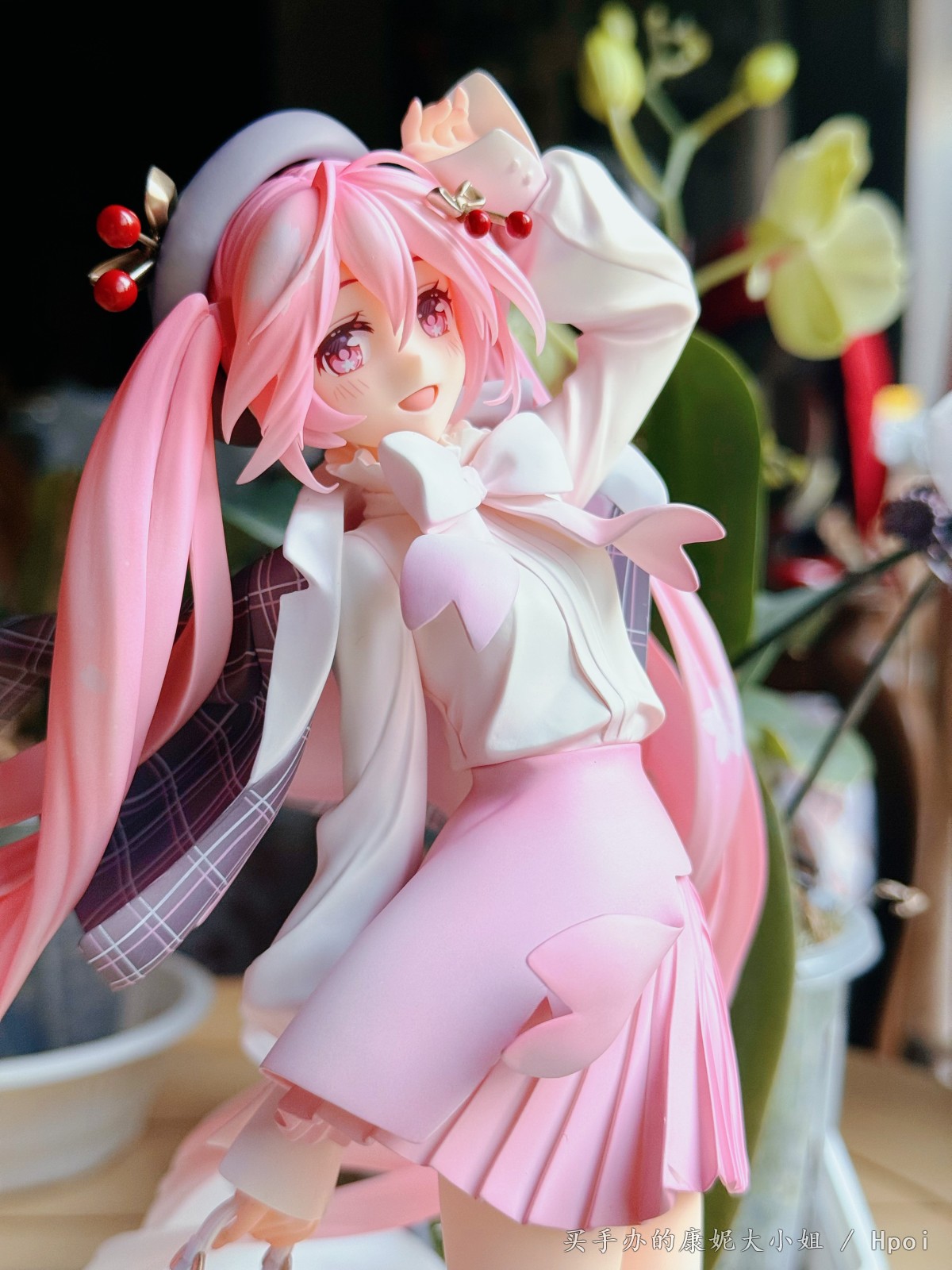 樱花音到货！