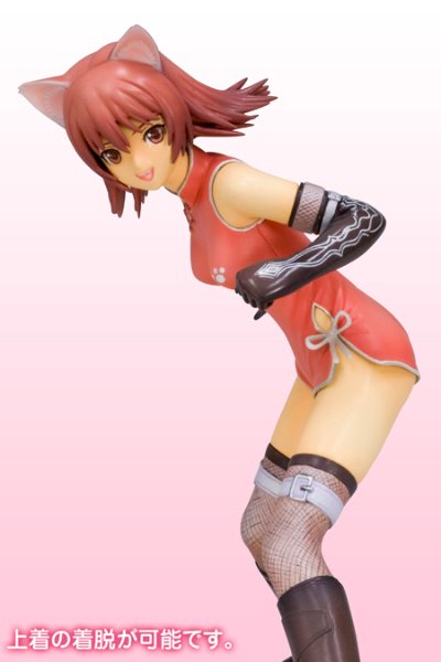 光明之风 猫