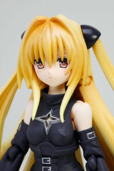 S.H.Figuarts  金色暗影