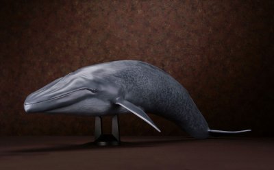 メガソフビアドバンス MSA-004 蓝鲸