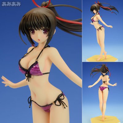 BEACH QUEENS 大图书馆的饲羊人  樱庭玉藻 