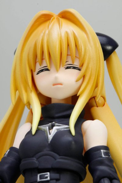 S.H.Figuarts  金色暗影