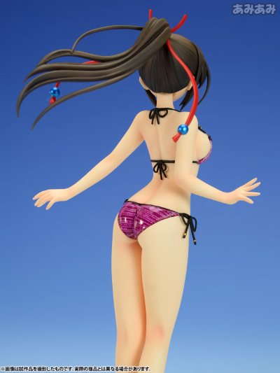 BEACH QUEENS 大图书馆的饲羊人  樱庭玉藻 