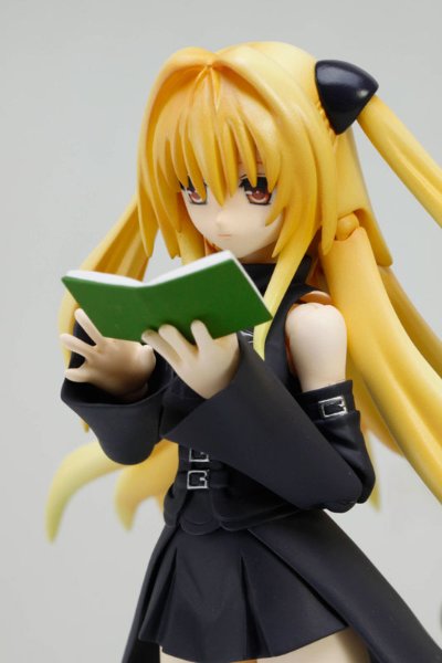 S.H.Figuarts  金色暗影