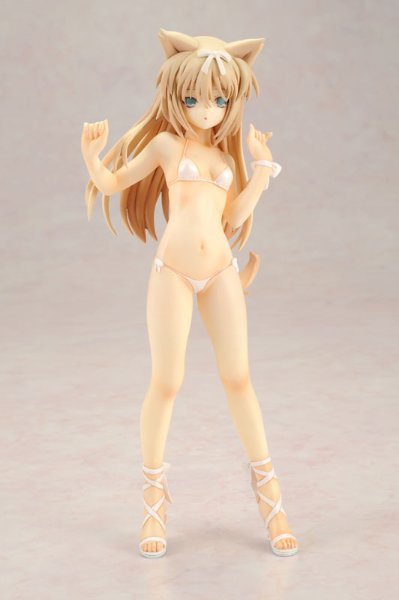 中文名称白猫from猫之惑星