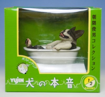 朝隈俊男コレクション 犬の本音 ボストンテリア 