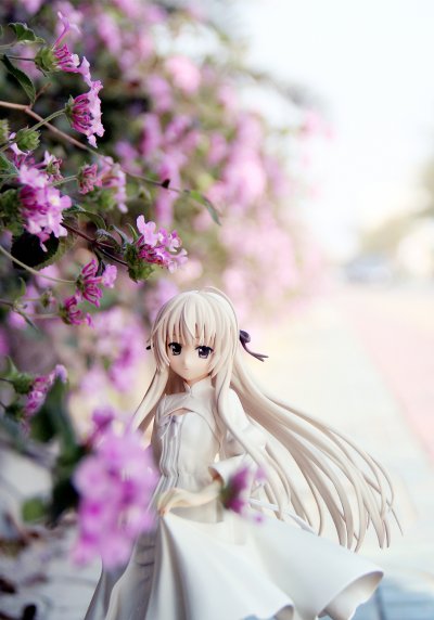 缘之空 春日野穹