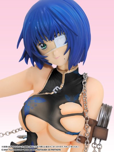 一骑当千 Dragon Destiny 吕蒙子明 －DVDBOX版 チャイナドレス－ スケスケダメージver. 