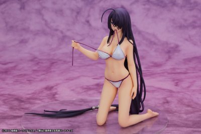 一骑当千 集鍔闘士血風録 关羽云长 -水着ver.- 