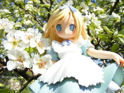 POP WONDERLAND ふしぎの国のアリス Alice