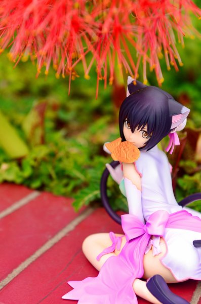 光明之心 いたずら怪盗 小梅