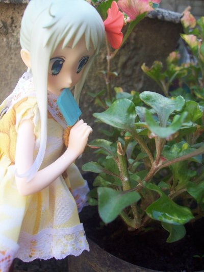 未闻花名 本間芽衣子