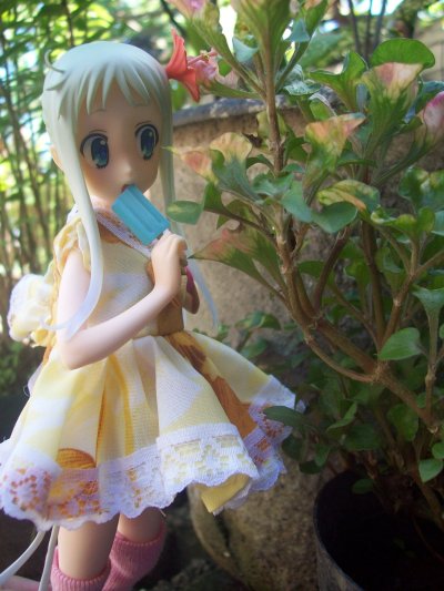 未闻花名 本間芽衣子