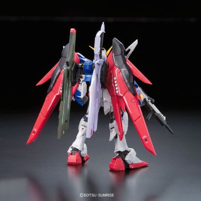 RG 1/144 ZGMF-X42S  命运高达