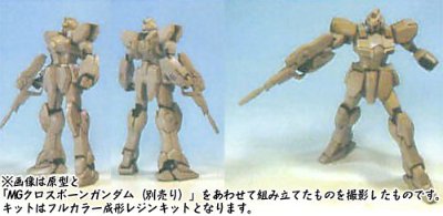 1/100 c.o.v.e.r.-kit ガンイージ（MG 骷髅高达対応）